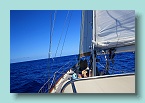 Pacific blue